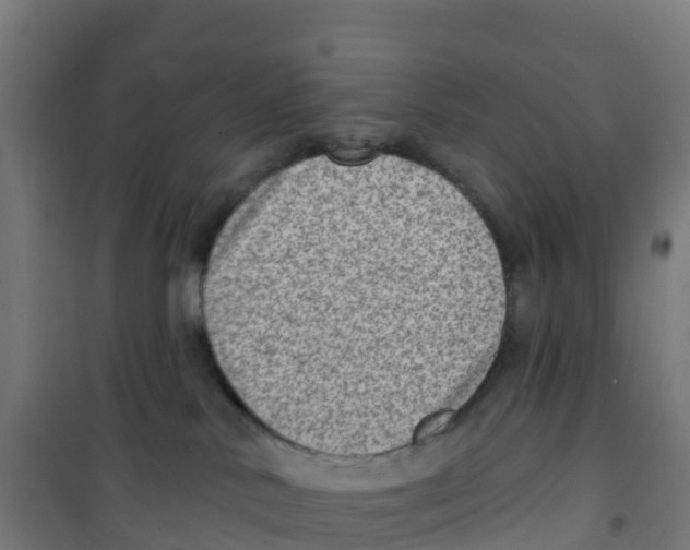 X0000100360042200807031848