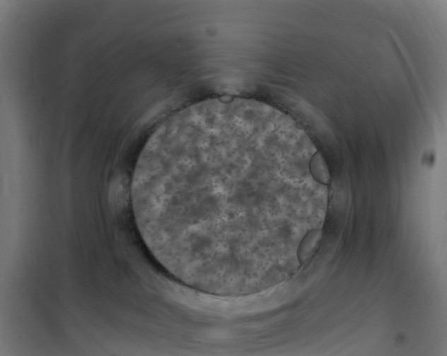 X0000100360043200807031848