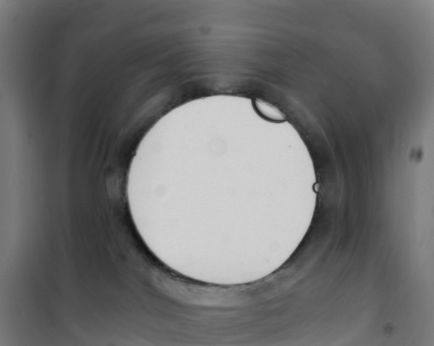 X0000100360044200807031848