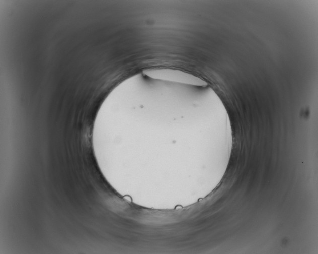 X0000100360045200807031848