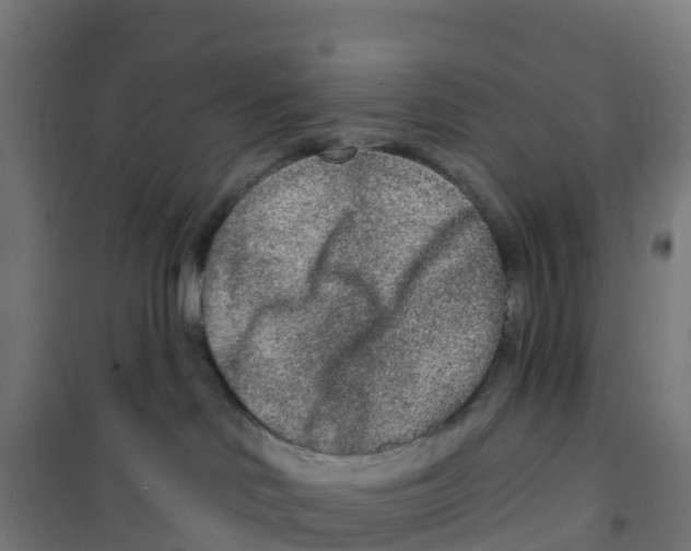 X0000100360046200807031848