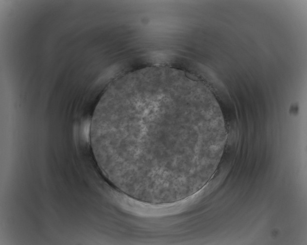 X0000100360047200807031848