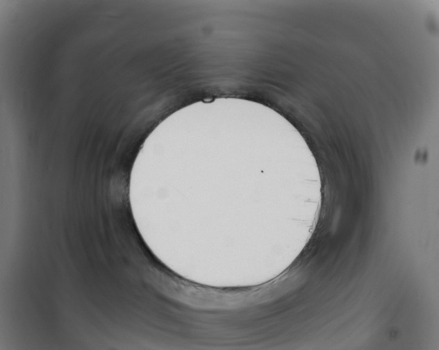 X0000100360048200807031848