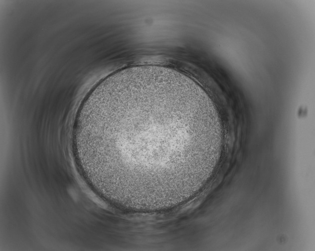 X0000100360049200807031848