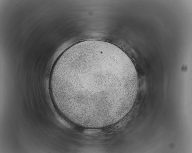 X0000100360051200807031848
