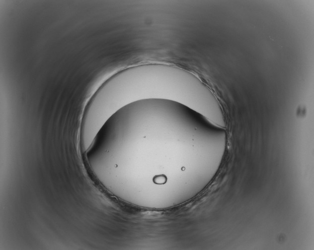 X0000100360052200807031848