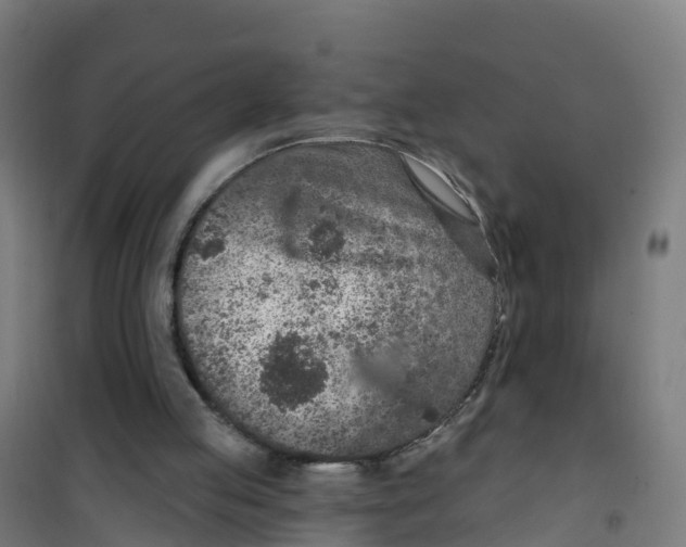 X0000100360053200807031848