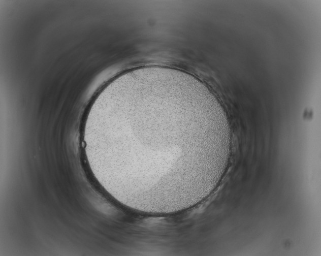 X0000100360054200807031848