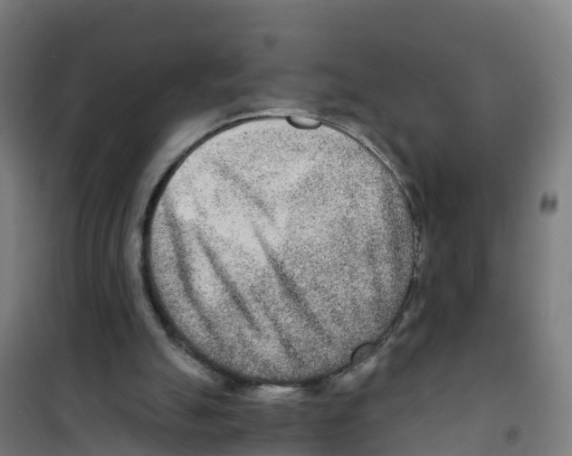 X0000100360055200807031848