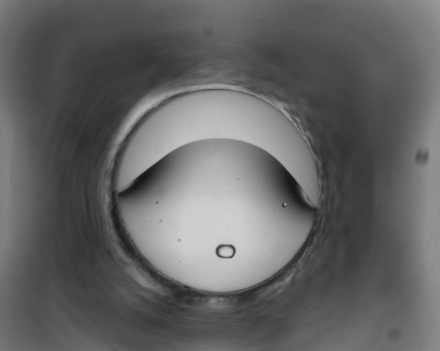 X0000100360056200807031848