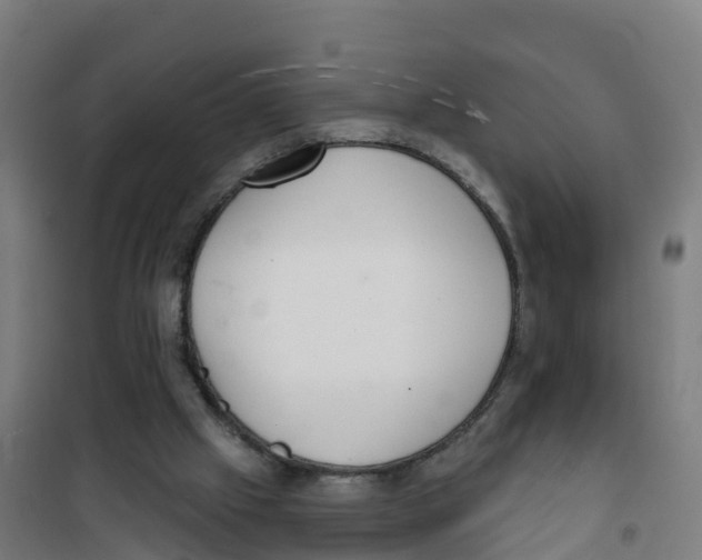 X0000100360057200807031848