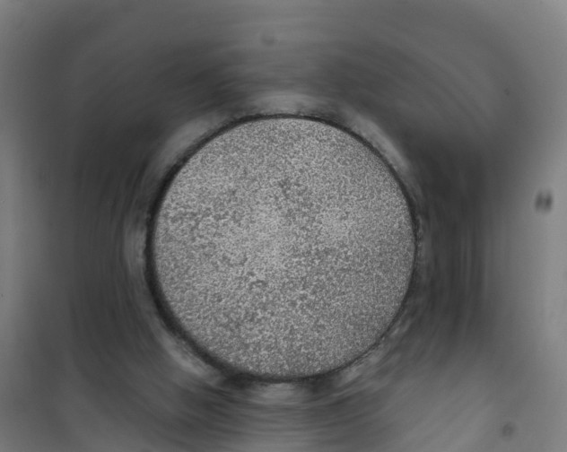X0000100360058200807031848