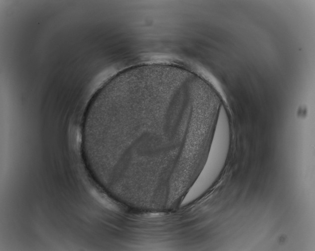 X0000100360059200807031848