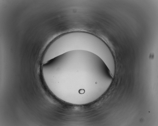 X0000100360060200807031848