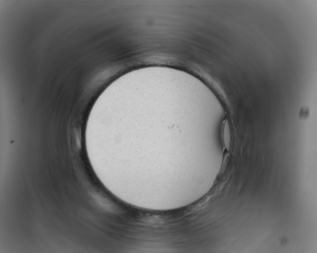 X0000100360062200807031848