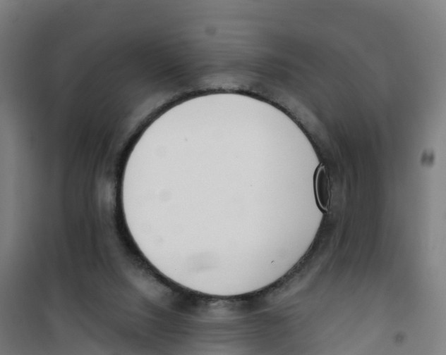 X0000100360064200807031848