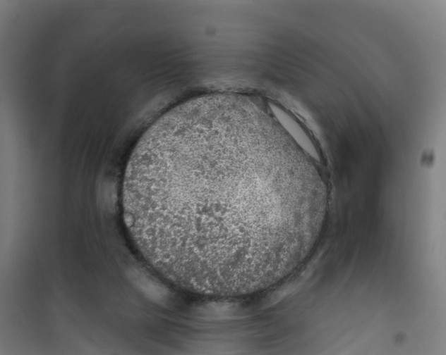 X0000100360065200807031848