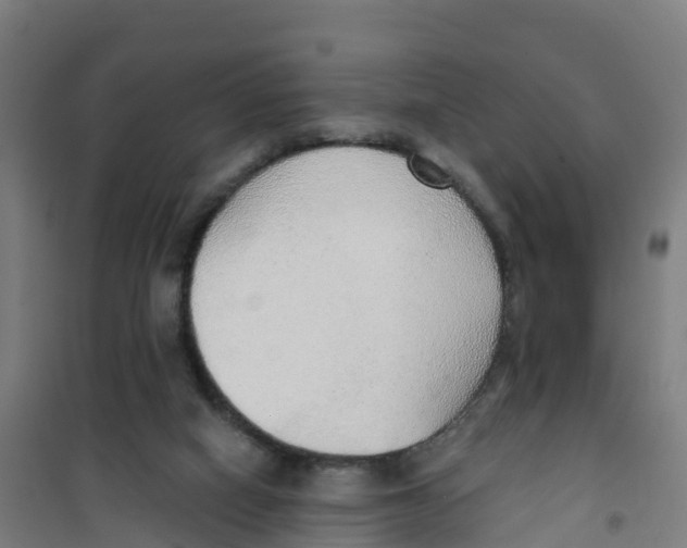 X0000100360066200807031848