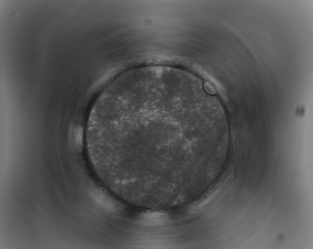 X0000100360067200807031848