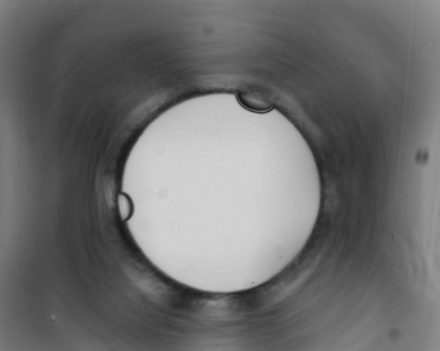 X0000100360068200807031848