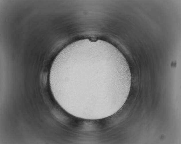 X0000100360070200807031848
