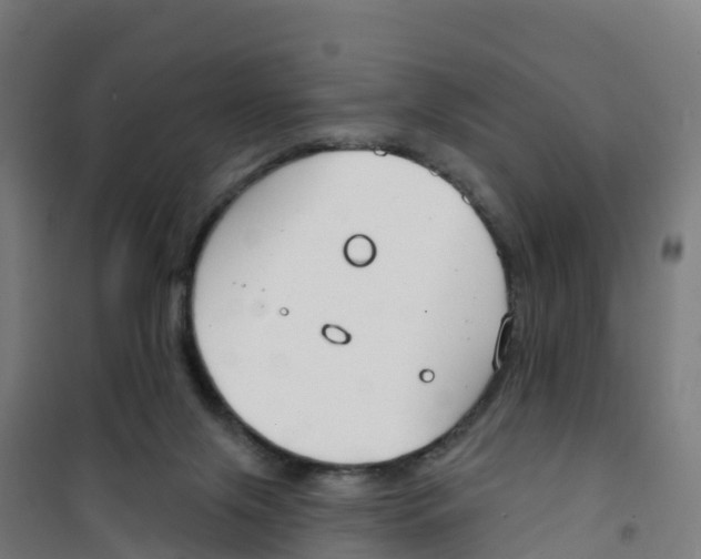 X0000100360071200807031848