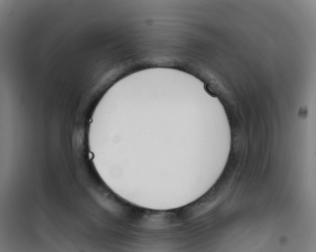 X0000100360072200807031848