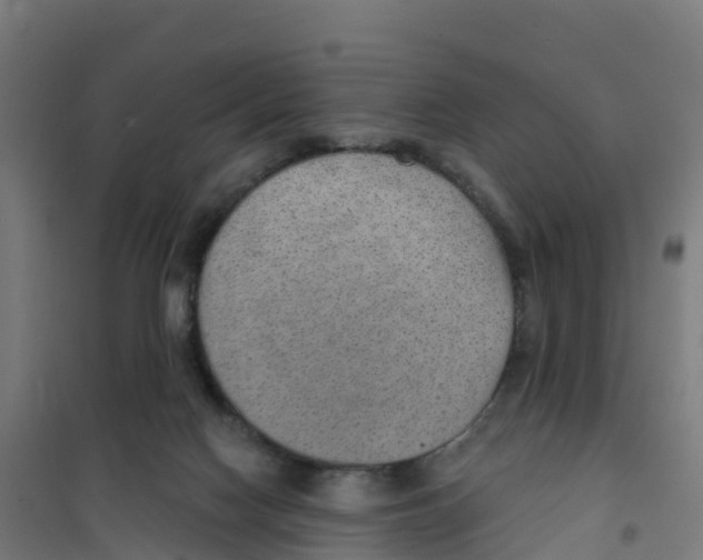 X0000100360074200807031848