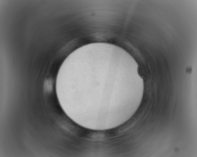 X0000100360075200807031848