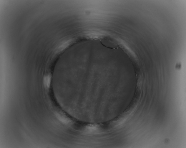 X0000100360076200807031848
