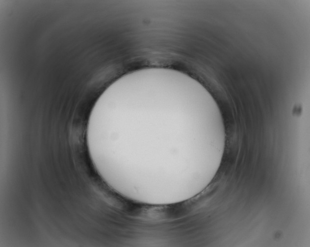 X0000100360078200807031848