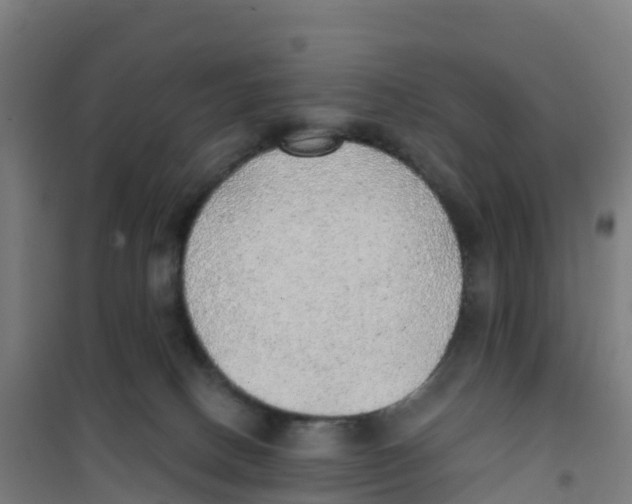 X0000100360082200807031848