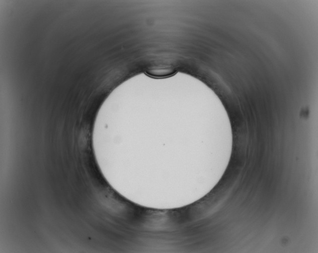 X0000100360083200807031848