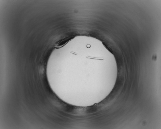 X0000100360084200807031848