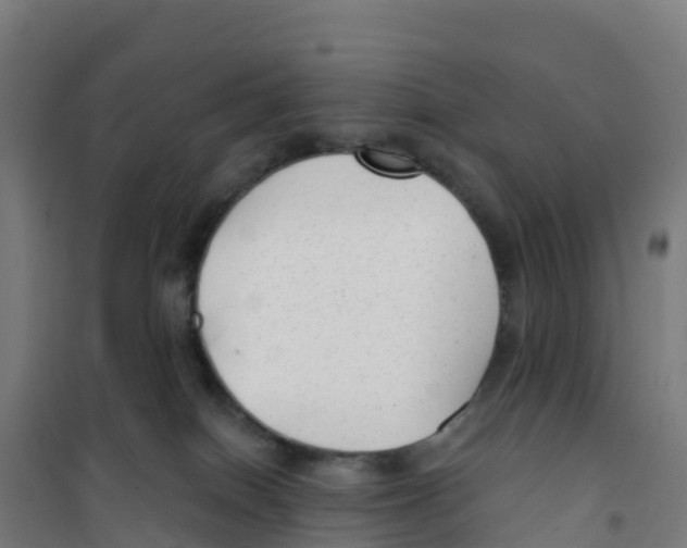 X0000100360086200807031848