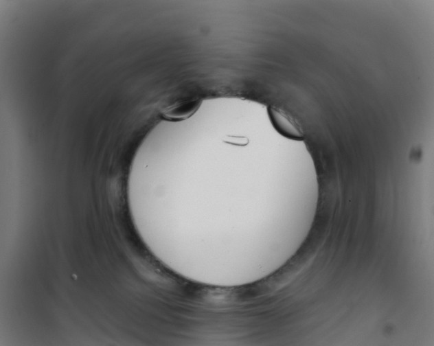 X0000100360088200807031848
