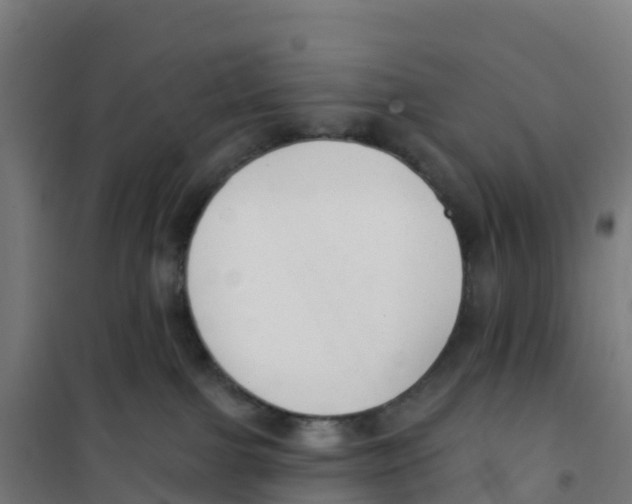 X0000100360091200807031848