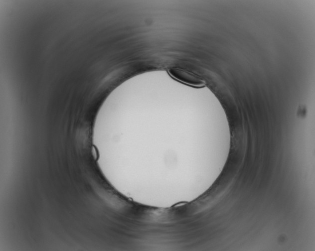 X0000100360092200807031848