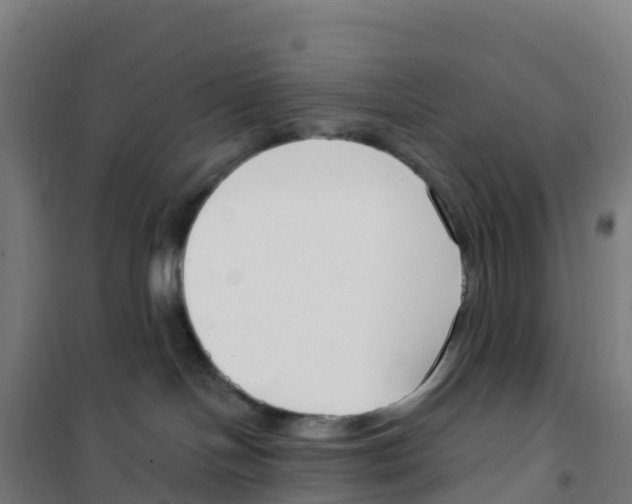 X0000100360094200807031848