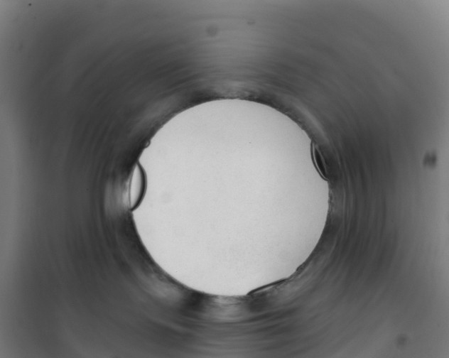 X0000100360095200807031848