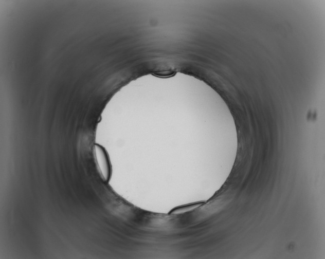 X0000100360096200807031848