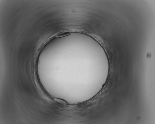 X0000100360097200807031848