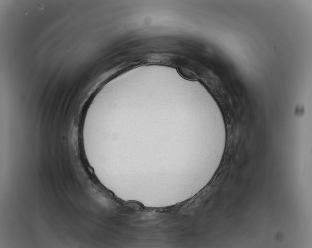 X0000100360098200807031848