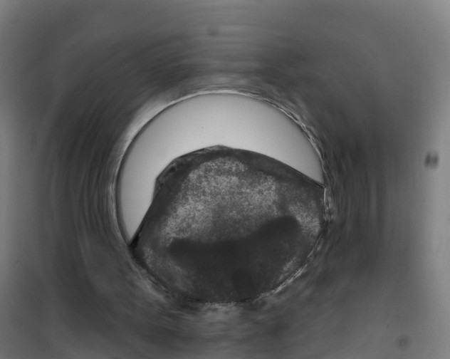 X0000100360099200807031848