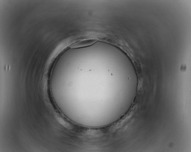 X0000100360101200807031847