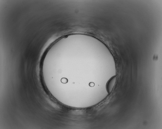 X0000100360102200807031847