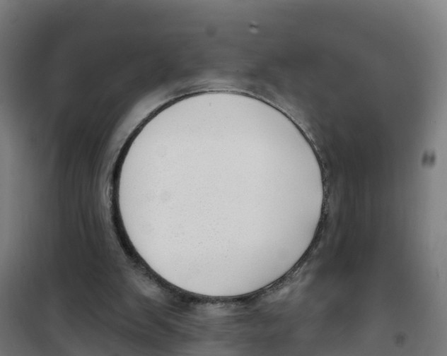 X0000100360103200807031847
