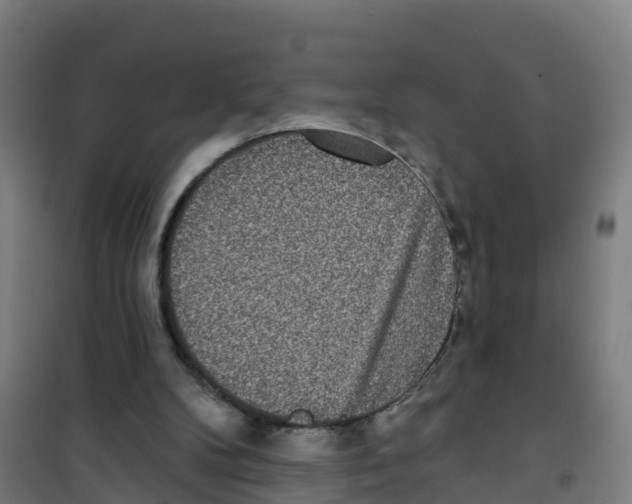 X0000100360104200807031847