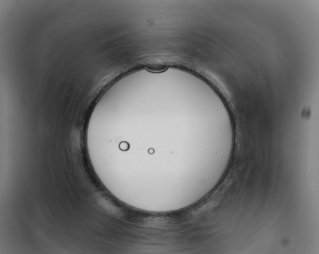 X0000100360105200807031847