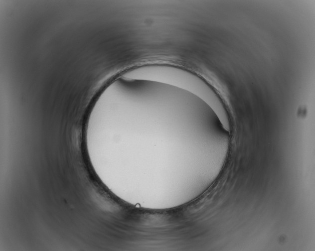 X0000100360107200807031847